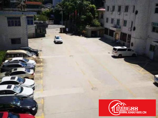 出租观澜牛湖新出厂房/仓库交通方便