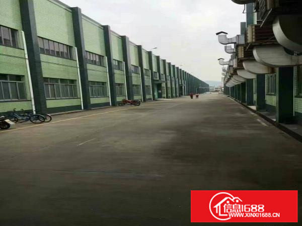 惠阳镇隆原房东10米高钢构厂房6万平米10元可分租