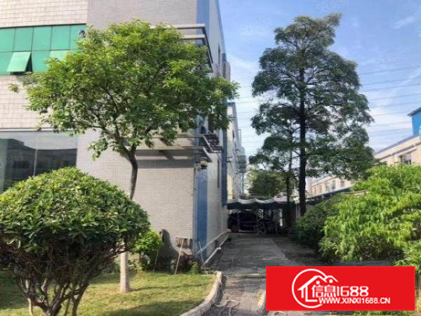 原房东花园式独院厂房11406平，一楼高度7.5米带牛角