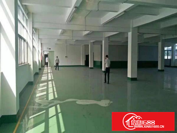 （招租）大朗工业园新空出标准3楼1000平厂房，带豪华装修