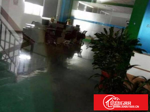 龙岗新生业主直租独门独院厂房4800平方大小分租