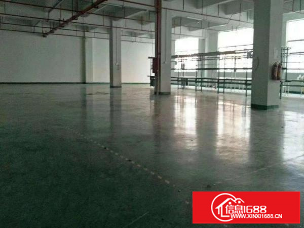 实惠厂房，坪山坑梓龙田村出租厂房1000平，可分租带装修！