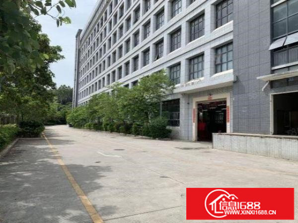 原房东（红本整栋19200平方）花园式厂房房东直租可分租