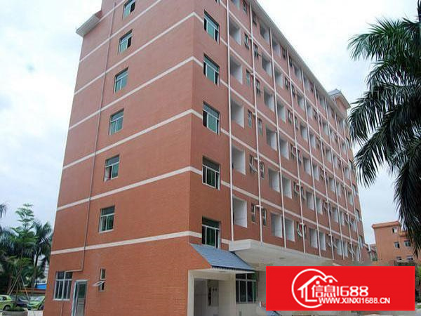 带装修哇！哇！哇！每平10元带装修仲恺惠