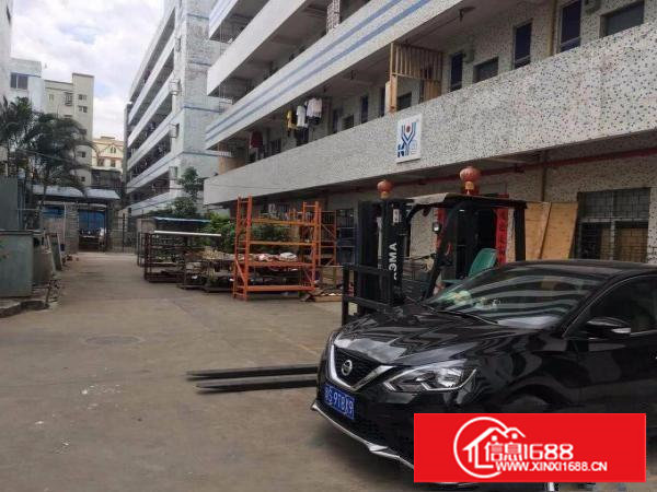 清湖头一楼厂房2000平方米，钢构厂房1156平方米，精装修