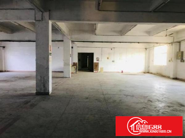 坪山马峦街道业主自有红本厂房