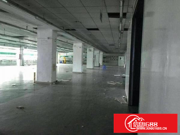 横沥新出原房东标准厂房带消防喷淋豪华装修工业用地14000平