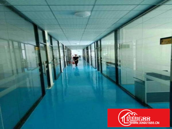 横岗四联独院厂房带装修一二楼各1000平可灵活分租