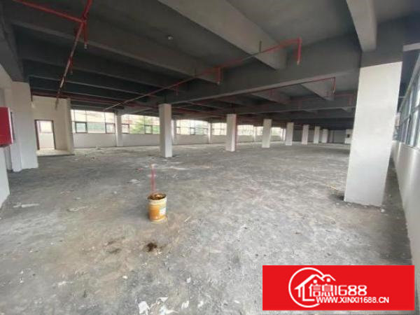 富民工业区1000平厂房出租。带标准货梯。