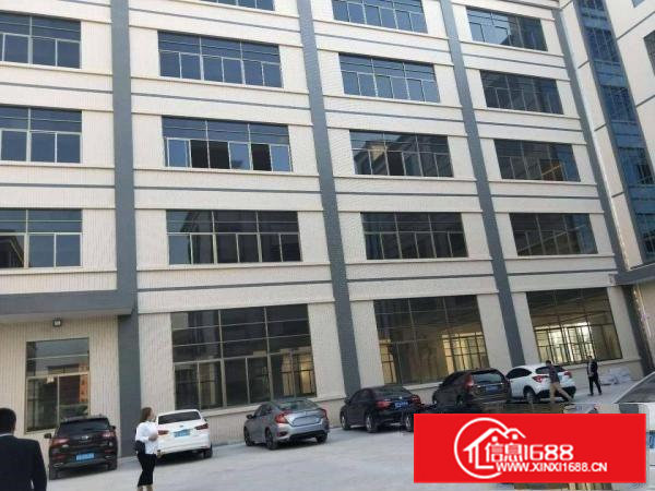 企石镇标准厂房招租独门独院