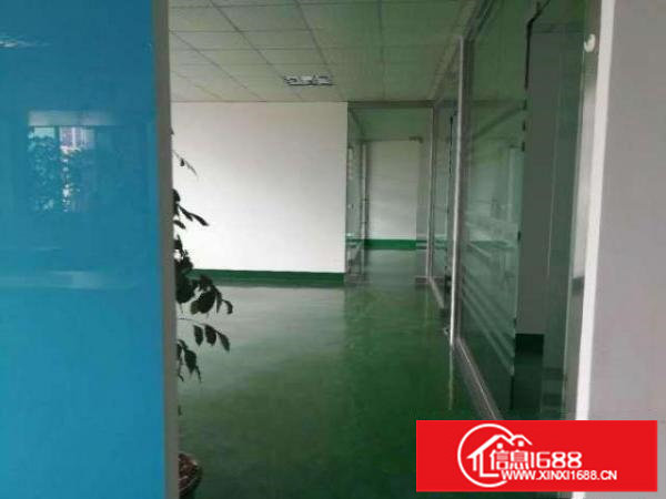 鹊山路口光浩工业区480平方花园式厂房带装修急租