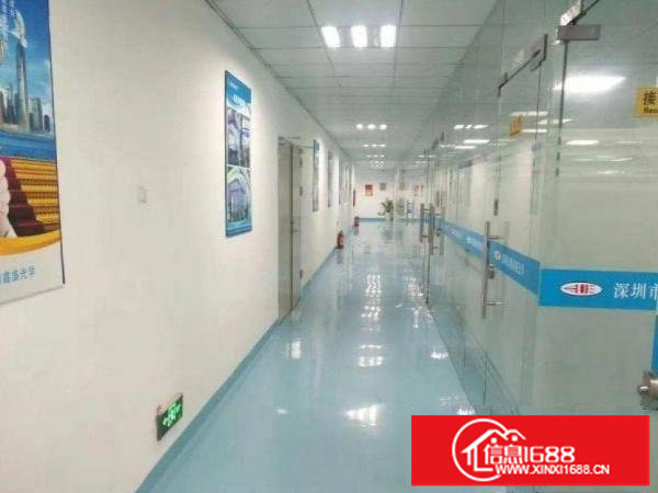 悦兴路冼屋旁厂房，带高档装修水电齐全