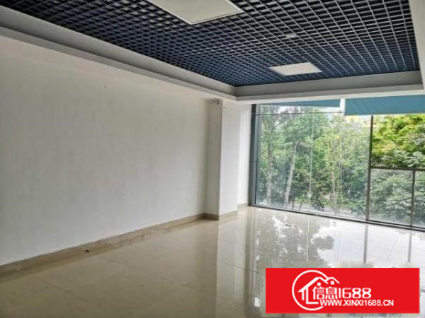 出租精装厂房出租(深圳大运体育旁）