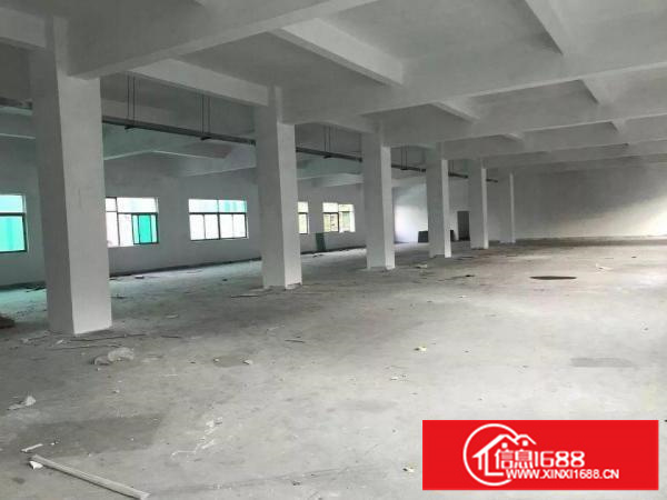 独院独栋厂房出租3350平方