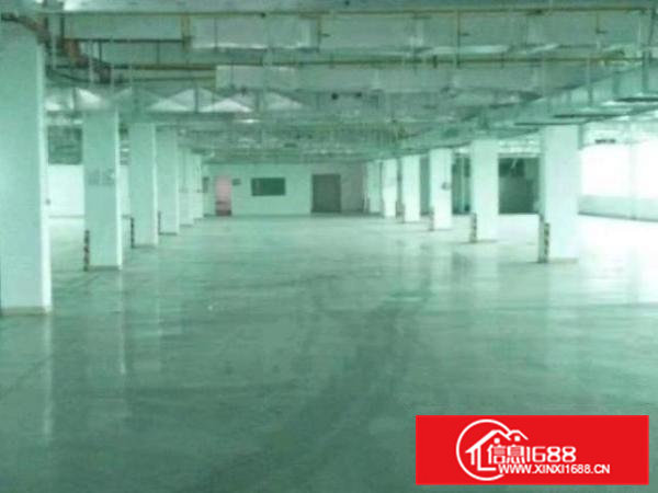 花园式独院厂房一楼730平米招租