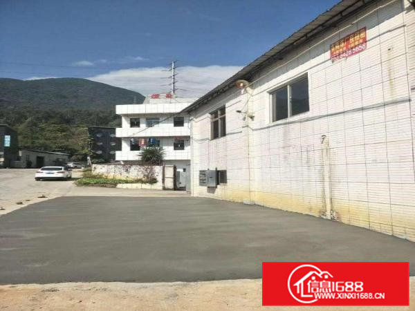 横沥镇高7米单一层钢构厂房1600平方出租