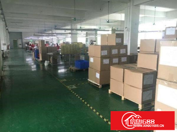 龙岗花园式红本300至6000平方独院带装修分租