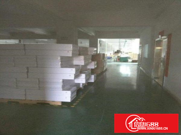 常平横江厦新出标准厂房600平方米出租