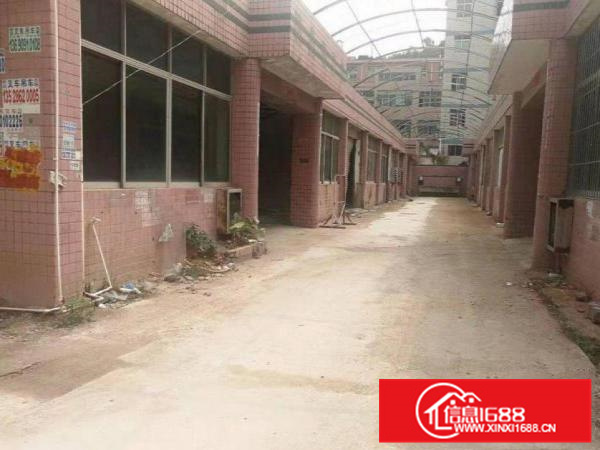 惠阳新墟一楼钢构900与480平米出租