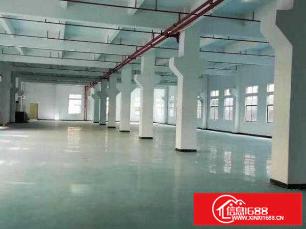 桥头镇原房东精装修三层独院厂房招租