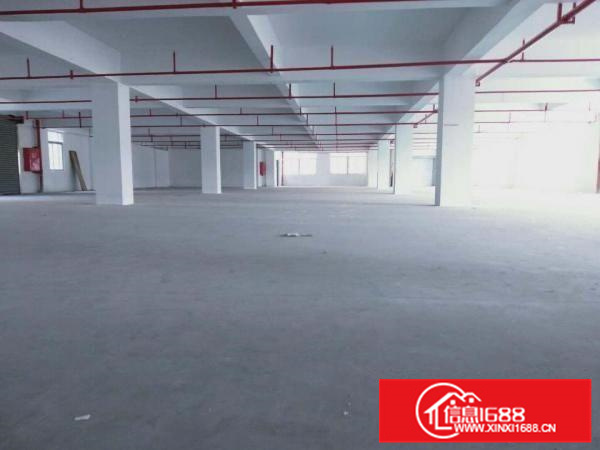 勒流标准1500方厂房出租，带消防喷淋，有房产证