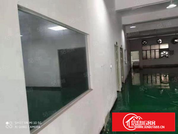 长安沙头新出楼上面积450平方，豪华装修，水电齐全