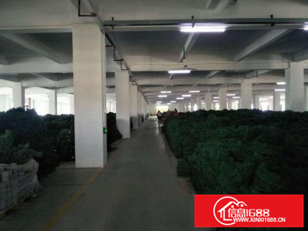 全新独院标准厂房出租，层高5米交通方便（可整可分）