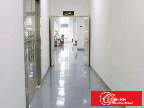 现成办公室！罗阳田牌出租楼上1030平豪华装修厂房带地坪漆