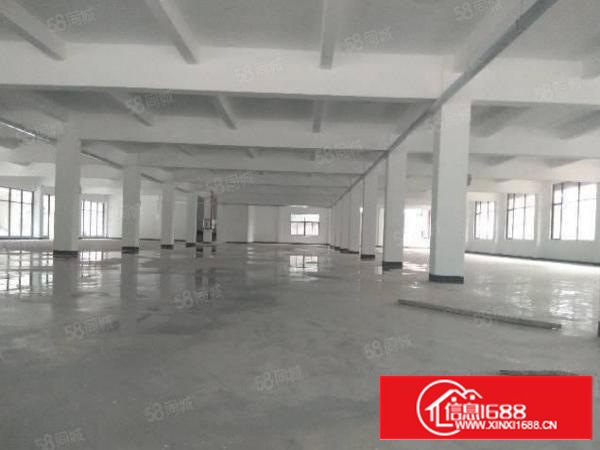 无公摊茶山镇原房东独院厂房招租有红本可办环评