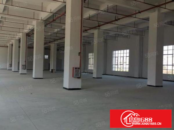 寮步新出原房东独门独院厂房