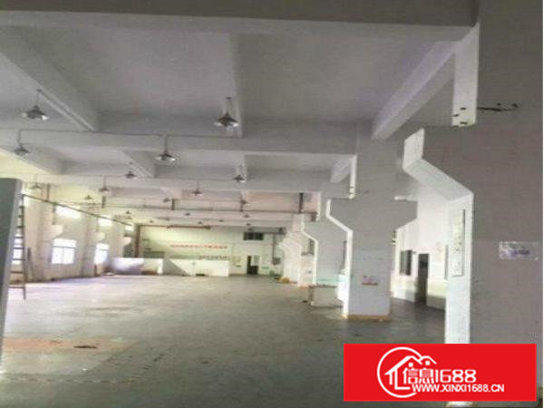 常平桥梓村标准厂房一楼2100平地理位置良好，交通便利