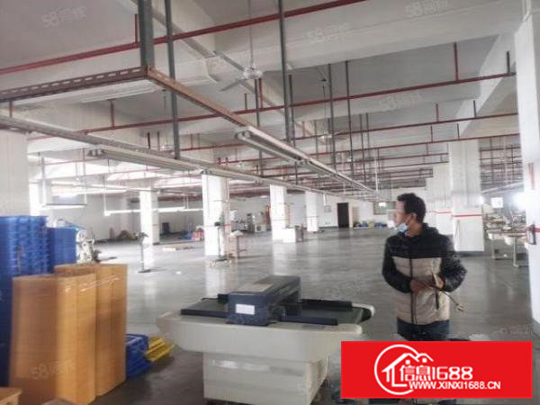 雁田龙平西路边原房东标准独院厂房无公摊九成新14000平出租