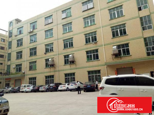 惠阳秋长白石标准一楼6米高2800平招租