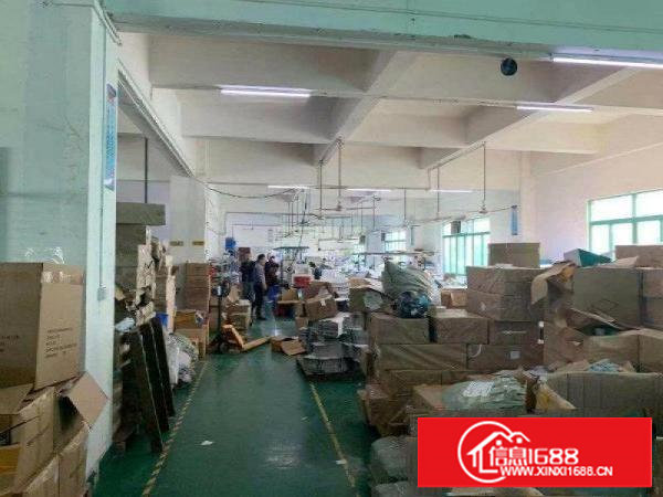 现房带办公室装修，塘厦科苑城楼上850平方房东急租