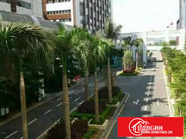 出租仲恺沥林电子厂房一楼1700平方