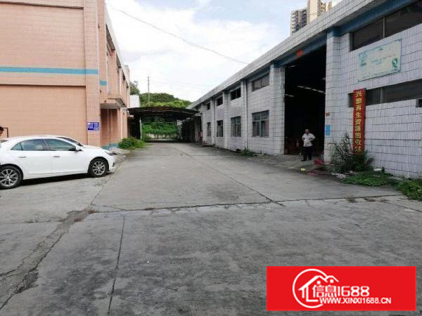 大岭山石大路旁边独院厂房仓库约8000㎡