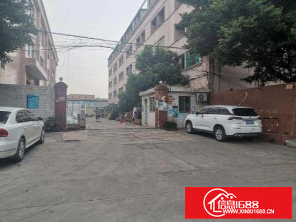 松岗朗下一700楼上500带装修招租