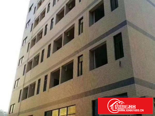 全新独院厂房可分层出租，可分栋出租，可整租。