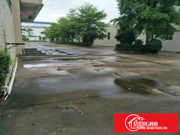 免中介费坪山石井空置1楼450平米标准厂房出租