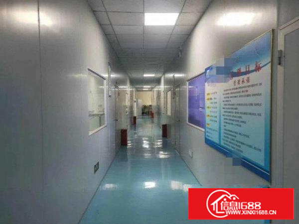 长安镇沙头独院2000平方车间带有豪华装修全新地坪漆水电齐全