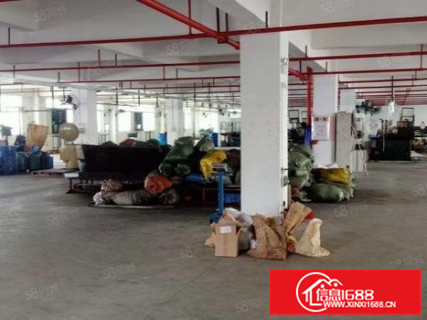 新出一手房东房源二楼标准厂房带现成水电装修两部标准电梯出租