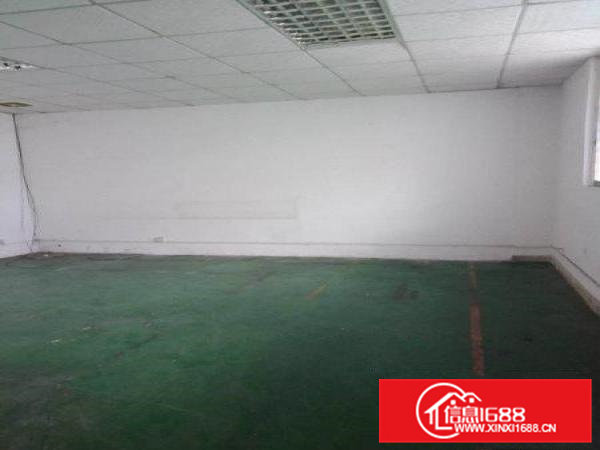 清溪镇铁松刷绿色地坪漆厂房出生650平带办公室