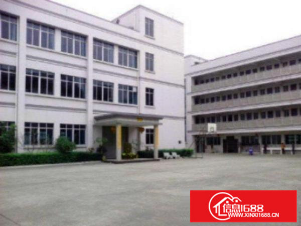 高埗.1000平超大超靓标准厂房分租好招工适合各类型小加工