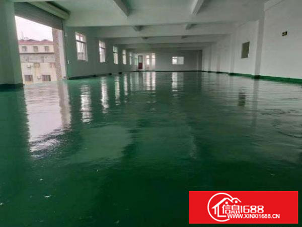 坪山碧岭新出无尘车间589平无转让费无公摊可办环评