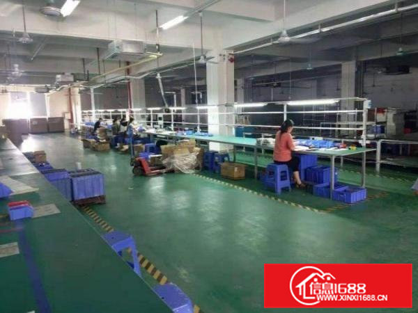 田心工业区空地大~出租1楼900平厂房，带办公室