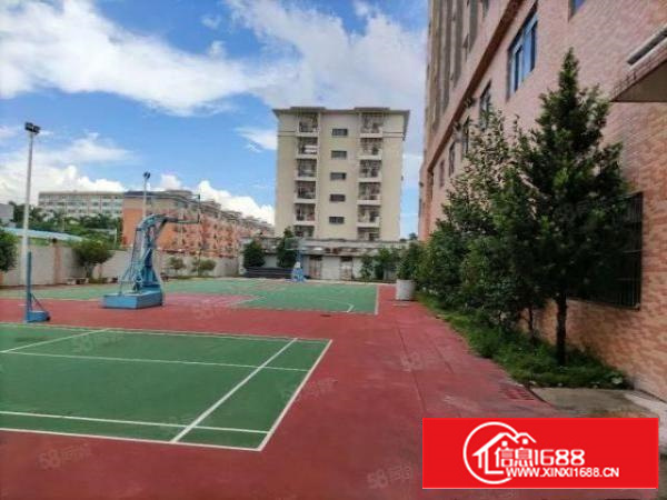 凤岗油甘埔一楼1500平精装修超大空地厂房200起分