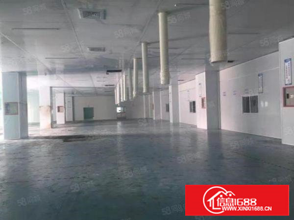 上沙新空出三楼4800平米，带装修厂房，水电齐全，车位足