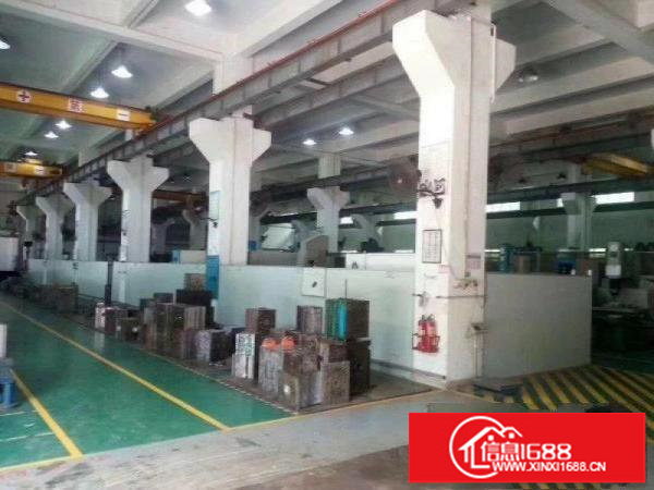 松岗107国道新出一楼2500平厂房出租高度6米