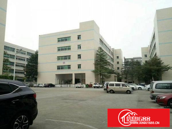 平湖华南城西门带装修二楼1100平方厂房出租