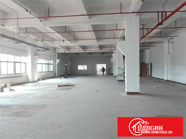 沥林原房东标准厂房2000平米出租（可分租）